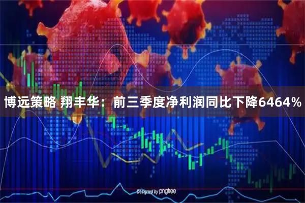 博远策略 翔丰华：前三季度净利润同比下降6464%