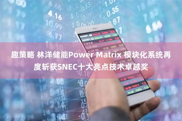 趣策略 林洋储能Power Matrix 模块化系统再度斩获SNEC十大亮点技术卓越奖