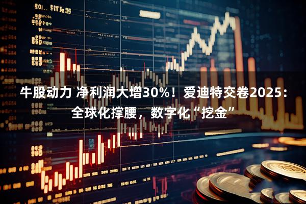 牛股动力 净利润大增30%！爱迪特交卷2025：全球化撑腰，数字化“挖金”